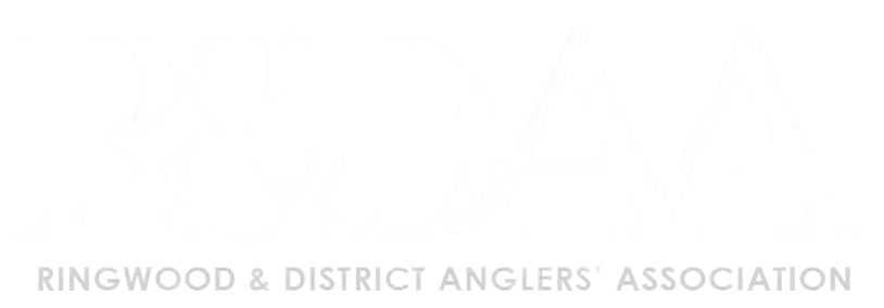 Logo white